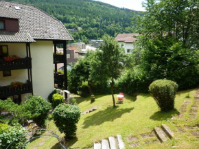 Atina Hotel Bad Wildbad